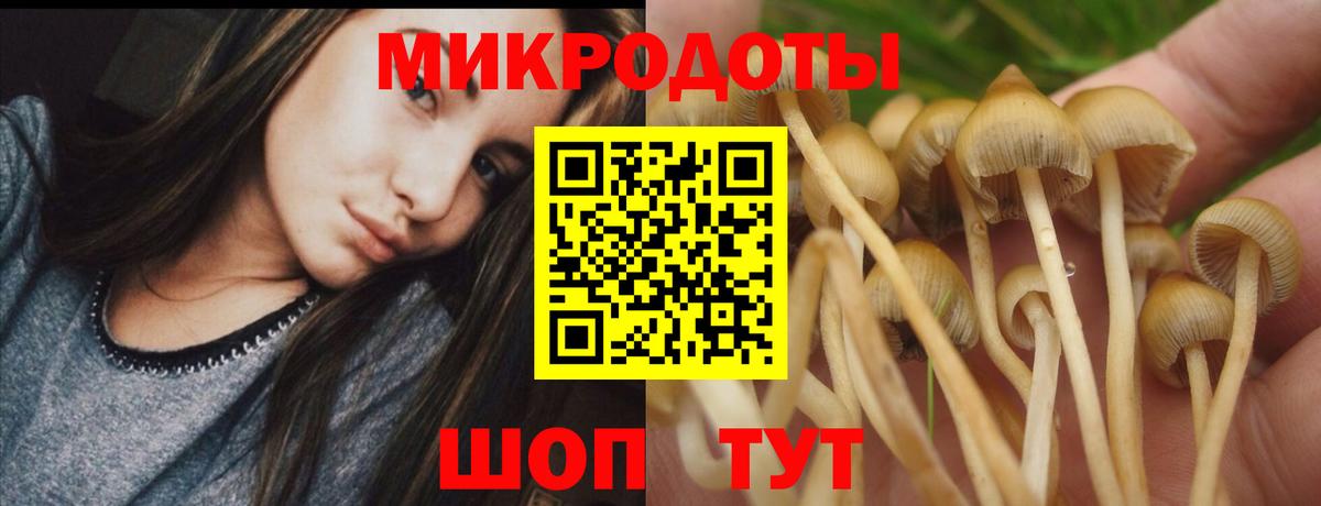 Псилоцибиновые грибы ЛСД  Вход с VPN  Борисоглебск 