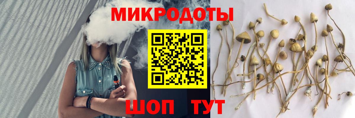 Псилоцибиновые грибы MAGIC MUSHROOMS Борисоглебск